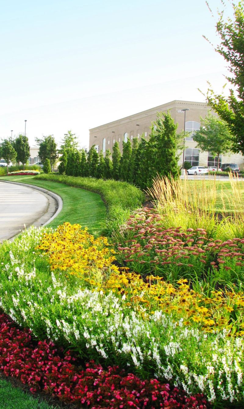 Landscaping & Irrigation description image