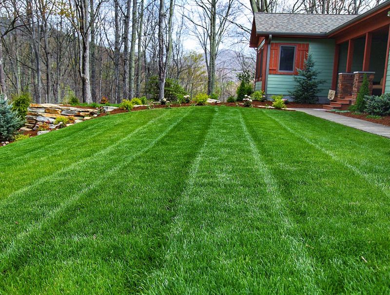 Landscaping detail image